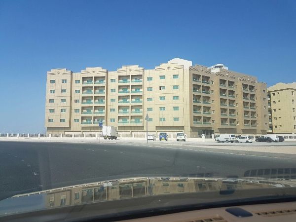 بنايه للبيع في دبي/ شارع الشيخ محمدبن زايد