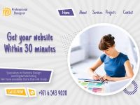 Website design professional designer company 