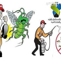 أفضل شركه مكافحة الحشرات pest control وتنظيف المباني والكنب والسجاد 